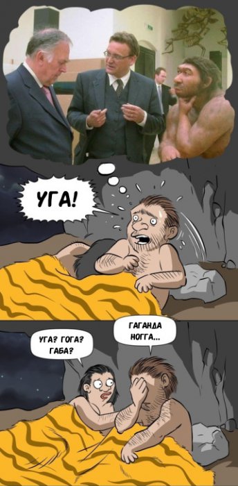 Забавные картинки