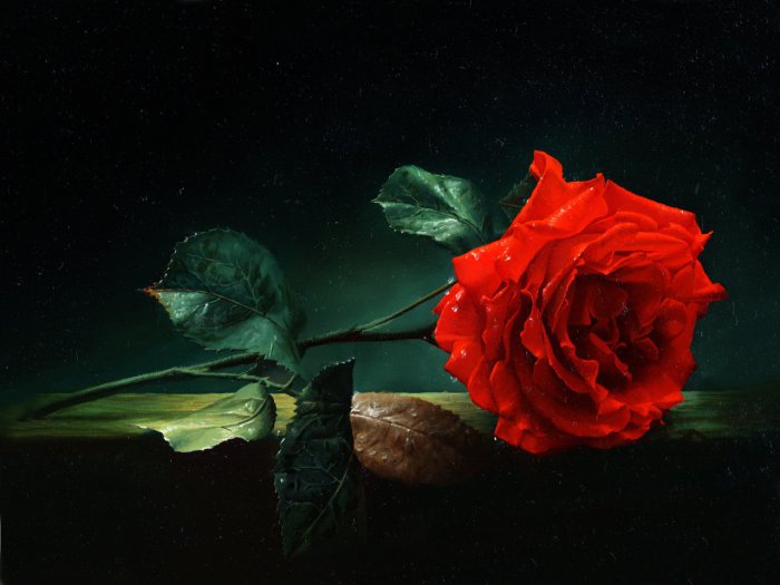 Рисует Алексей Антонов