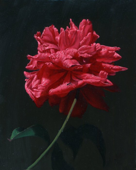 Рисует Алексей Антонов
