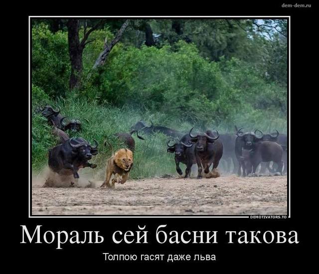 Как побить боксера и каратиста на улице:советы инструктора спецназа