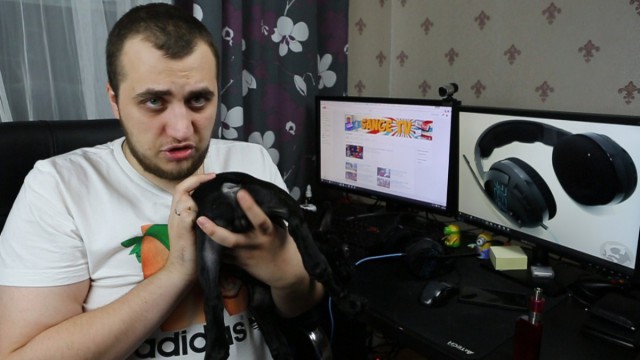 Видеоблогера захватили бойцы СОБРа во время прямой трансляции Counter-Strike Видеоблогера захватили бойцы СОБРа во время прямой трансляции Counter-Strike
