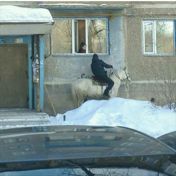 Забавные картинки