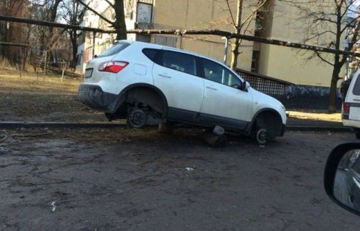 Забавные картинки