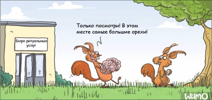 Забавные картинки