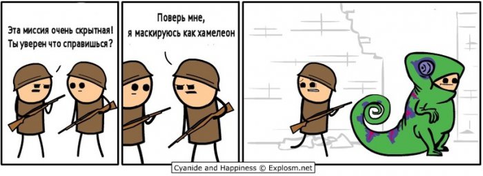 Забавные картинки