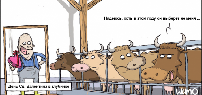 Забавные картинки