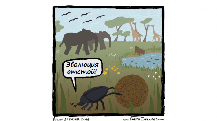 Забавные картинки