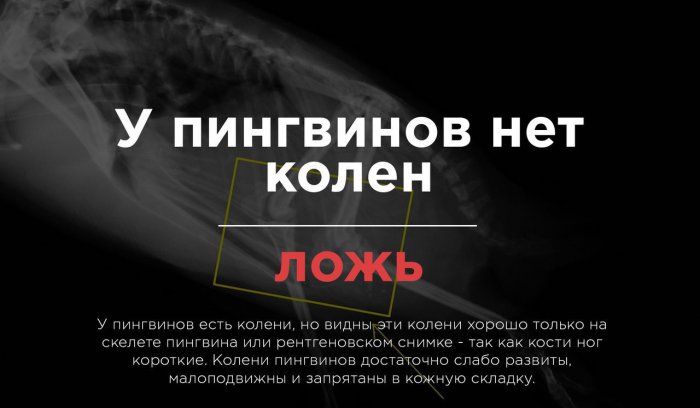 Распространнёные заблуждения