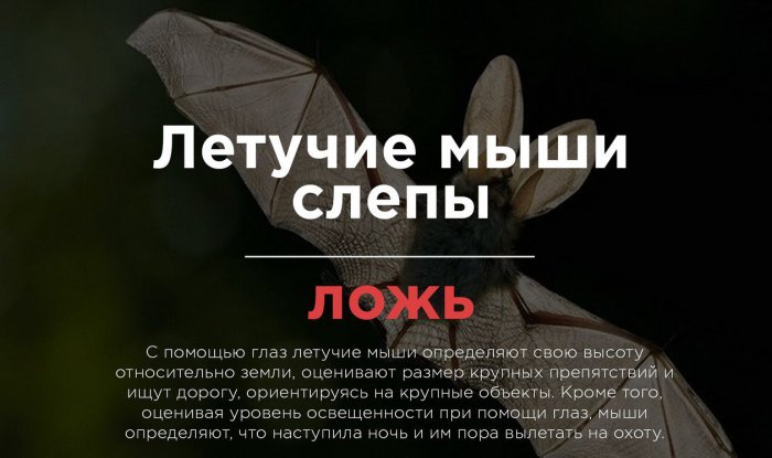 Распространнёные заблуждения