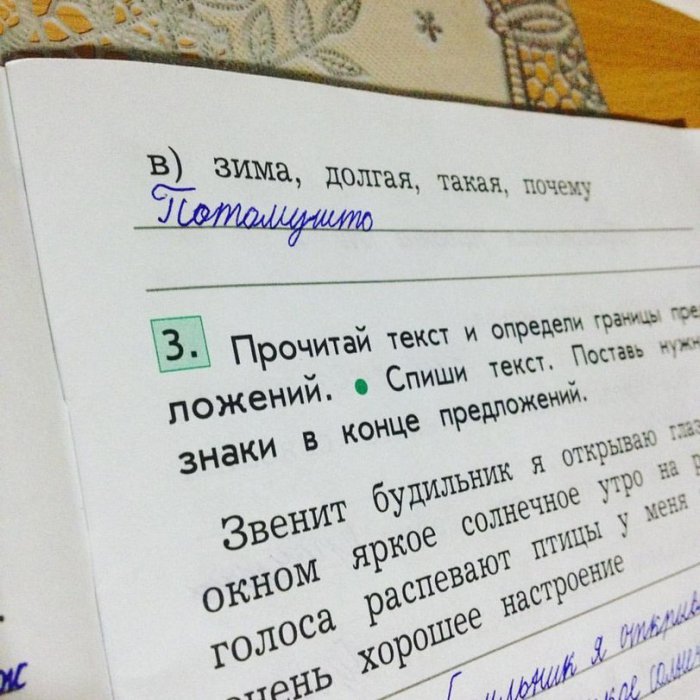 Забавные картинки