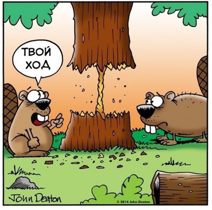 Забавные картинки