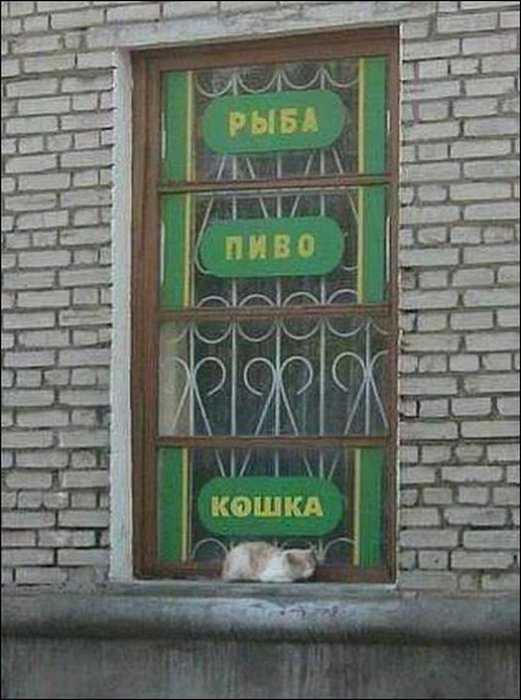 Забавные картинки