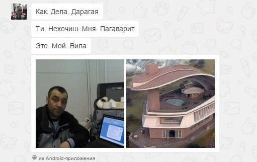 Забавные картинки