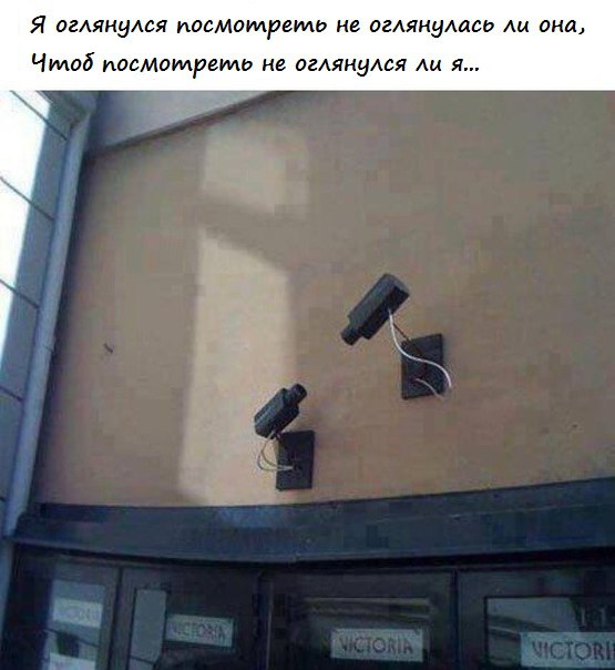 Забавные картинки Забавные картинки