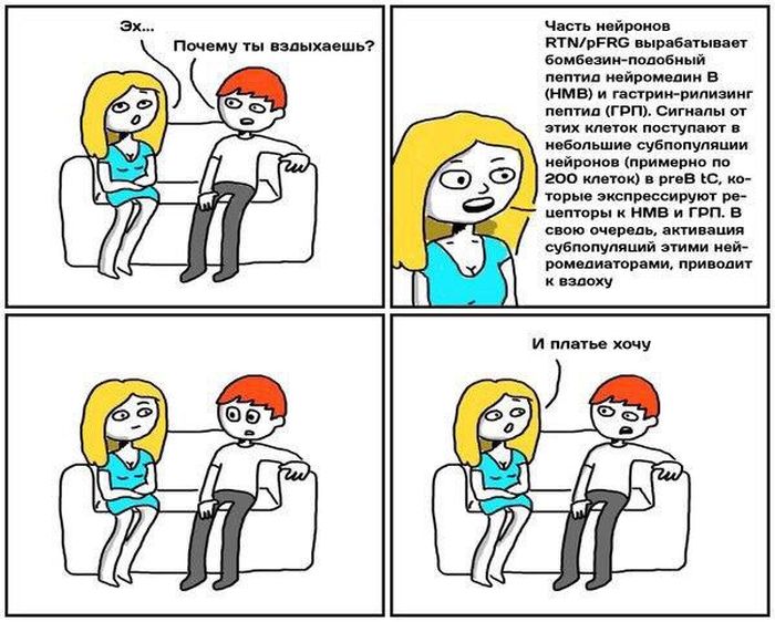 Забавные картинки