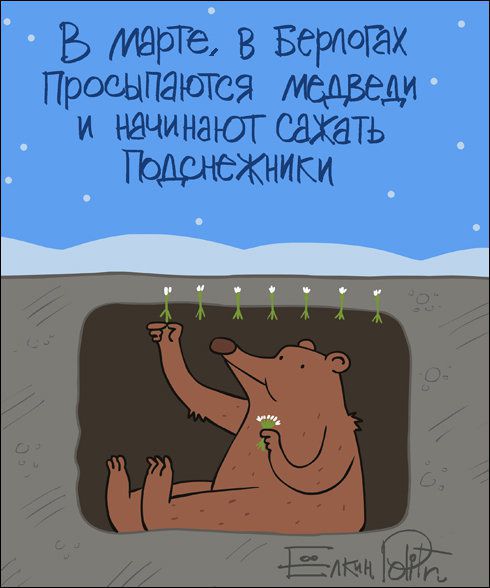 Забавные картинки