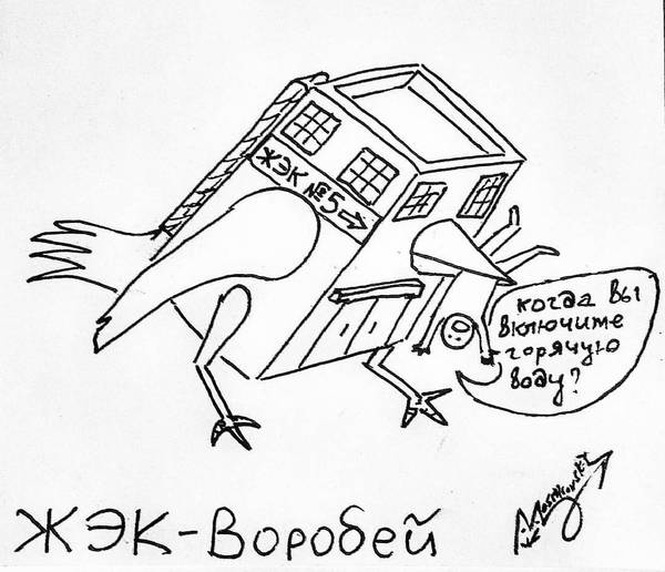 Забавные картинки
