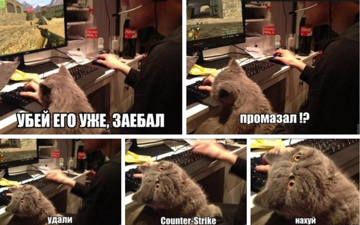 Забавные картинки
