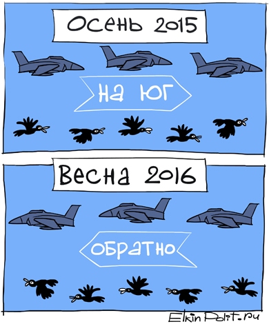 Почему вывел, почему вывел... ПОРА ПОТОМУ ЧТО!    