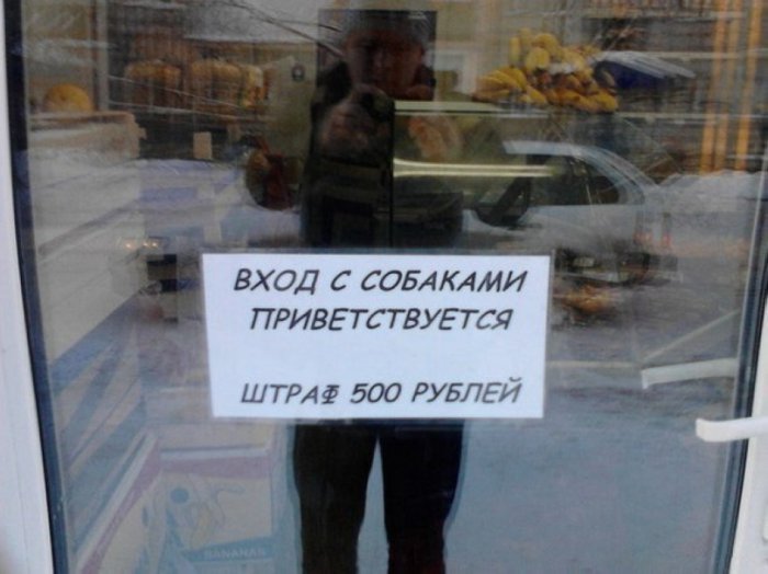 Забавные картинки
