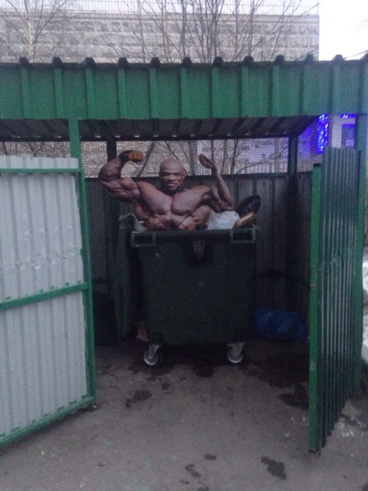 Забавные картинки