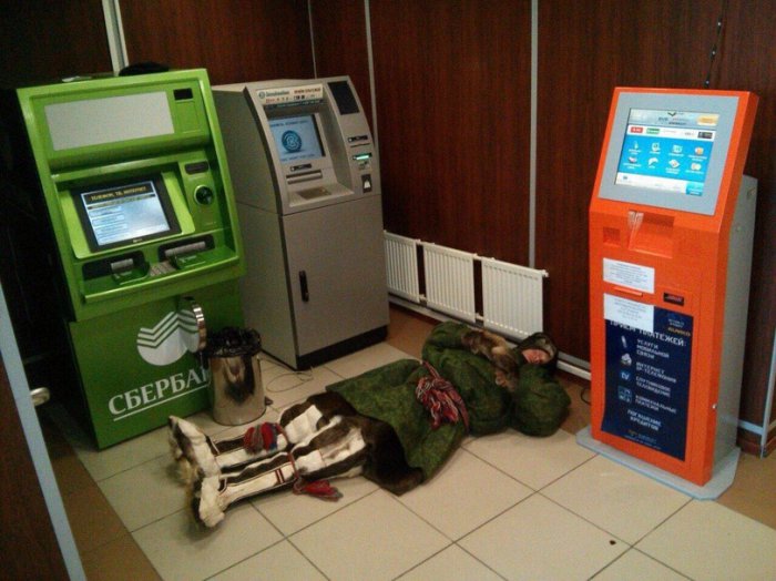 Забавные картинки
