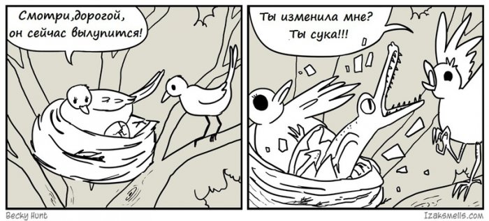 Забавные картинки