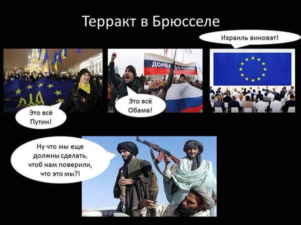 Забавные картинки
