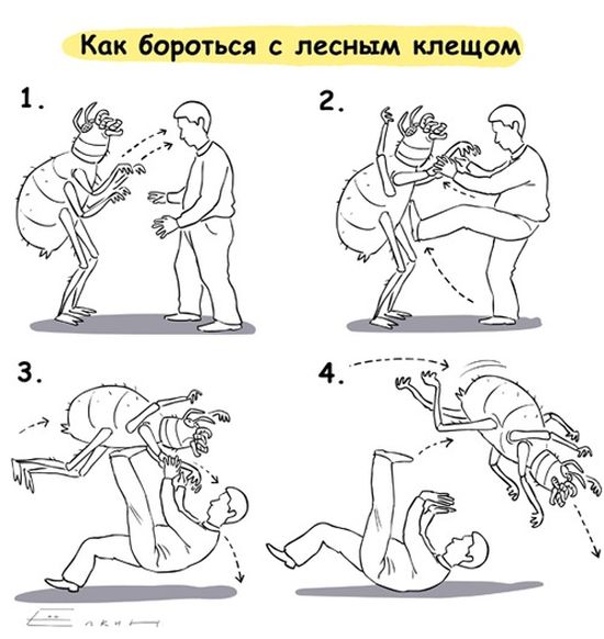 1 апреля в интернете 1 апреля в интернете