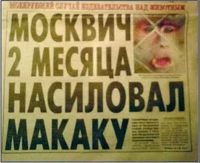 Забавные картинки