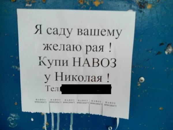 Забавные картинки