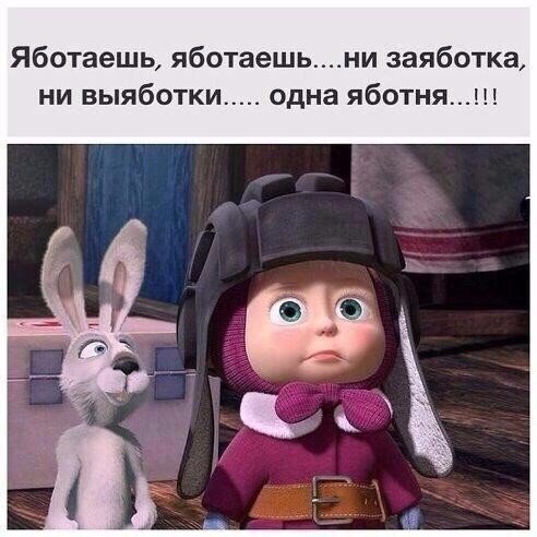 Забавные картинки