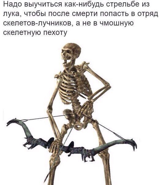 Забавные картинки