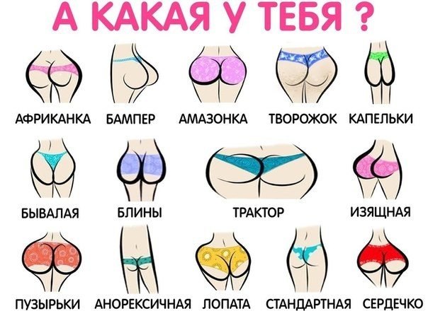 Очередной классификатор попок