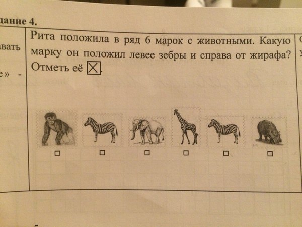 Забавные картинки