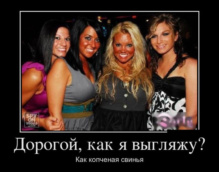 Демотиваторы
