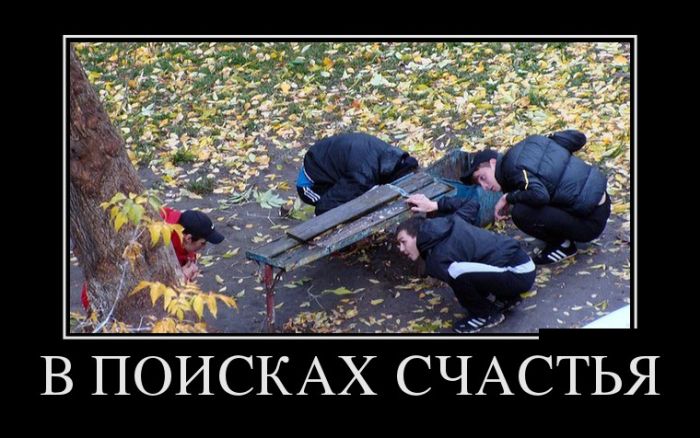 Демотиваторы
