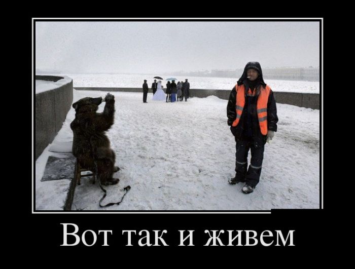 Демотиваторы