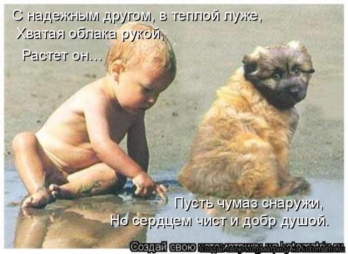 Лучшие котоматрицы недели