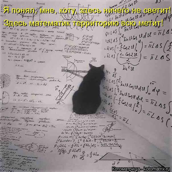 Лучшие котоматрицы недели