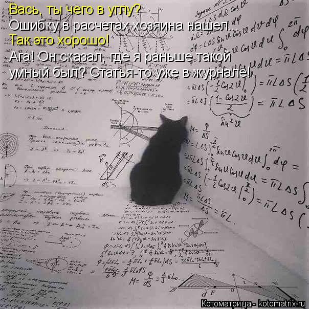 Лучшие котоматрицы недели