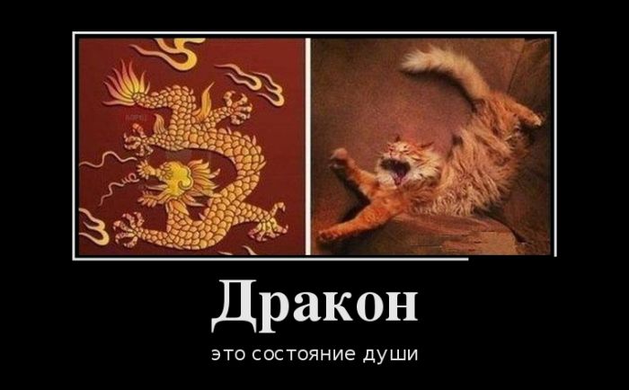 Демотиваторы