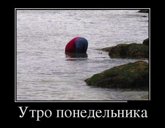 Демотиваторы