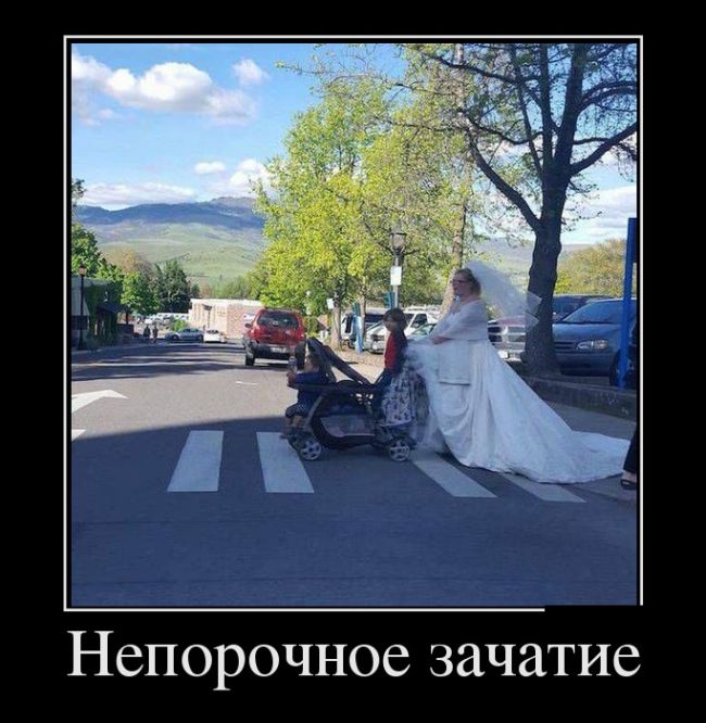 Демотиваторы