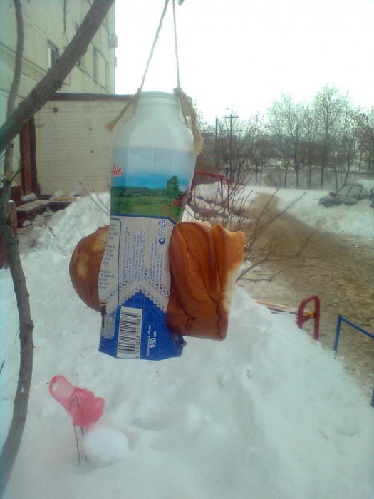 Забавные картинки