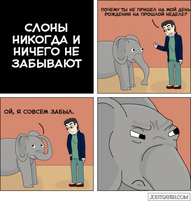 Забавные картинки