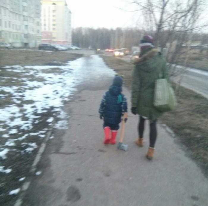 Забавные картинки