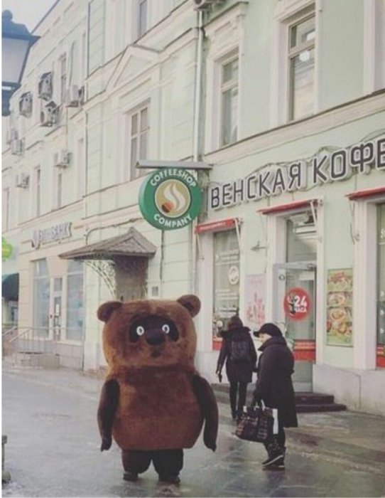 Забавные картинки