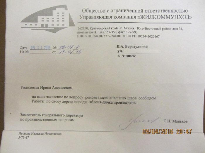 Забавные картинки