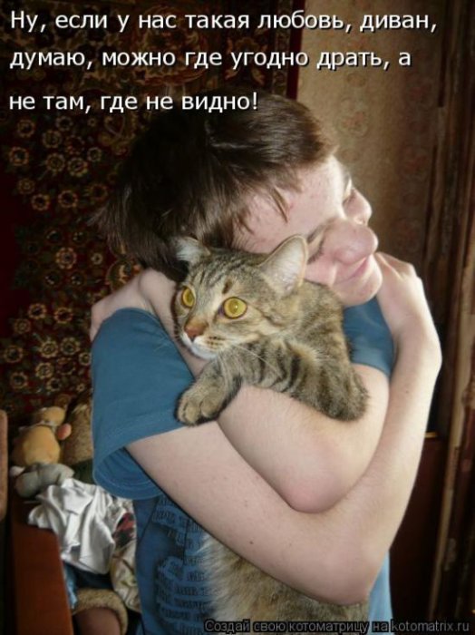Лучшие котоматрицы недели